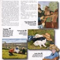 Western Horse Review - May 2007 - page 2